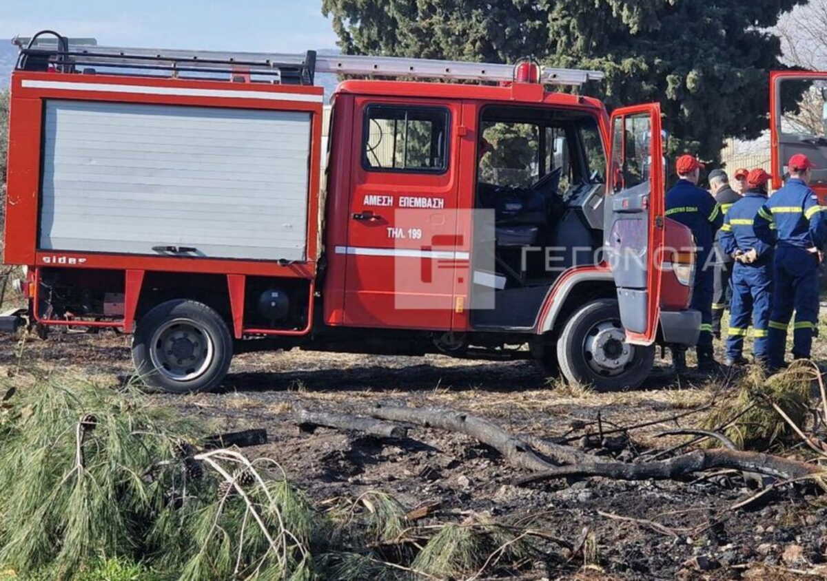 Βόλος: Έβαλε φωτιά σε χόρτα και κάηκε ζωντανός – Τραγικός θάνατος για 75χρονο