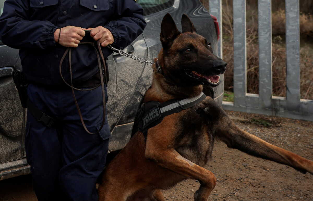 Θεσσαλονίκη: Σκύλος της αστυνομίας «ξετρύπωσε» ναρκωτικά σε τουαλέτα