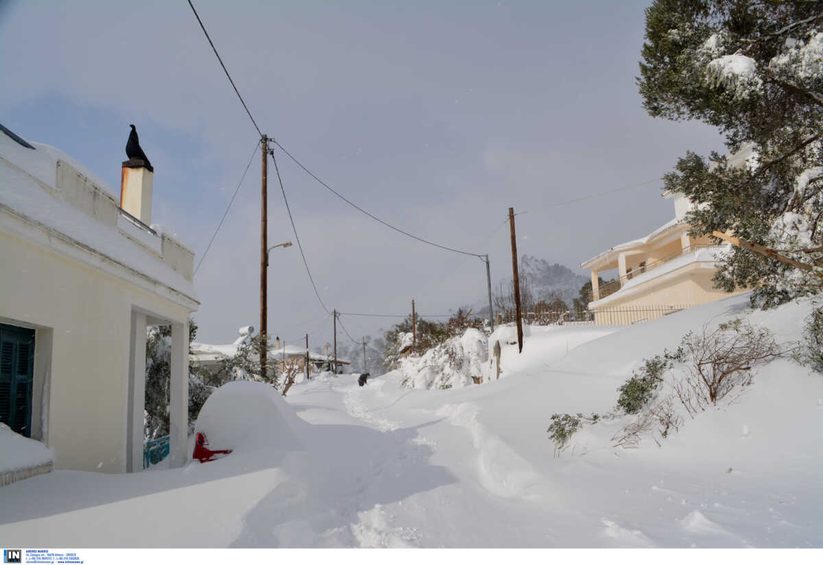 Καιρός – Εύβοια: Χιόνια με διακοπές ρεύματος και προβλήματα στους δρόμους