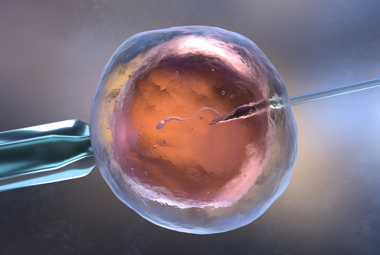 Artificial insemination or in vitro fertilization. 3D illustration