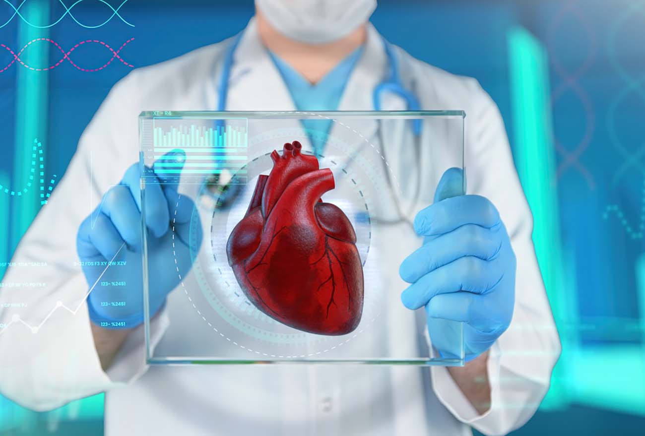 Heart Attack, Heart Disease, Heart - Internal Organ, Illness, Research