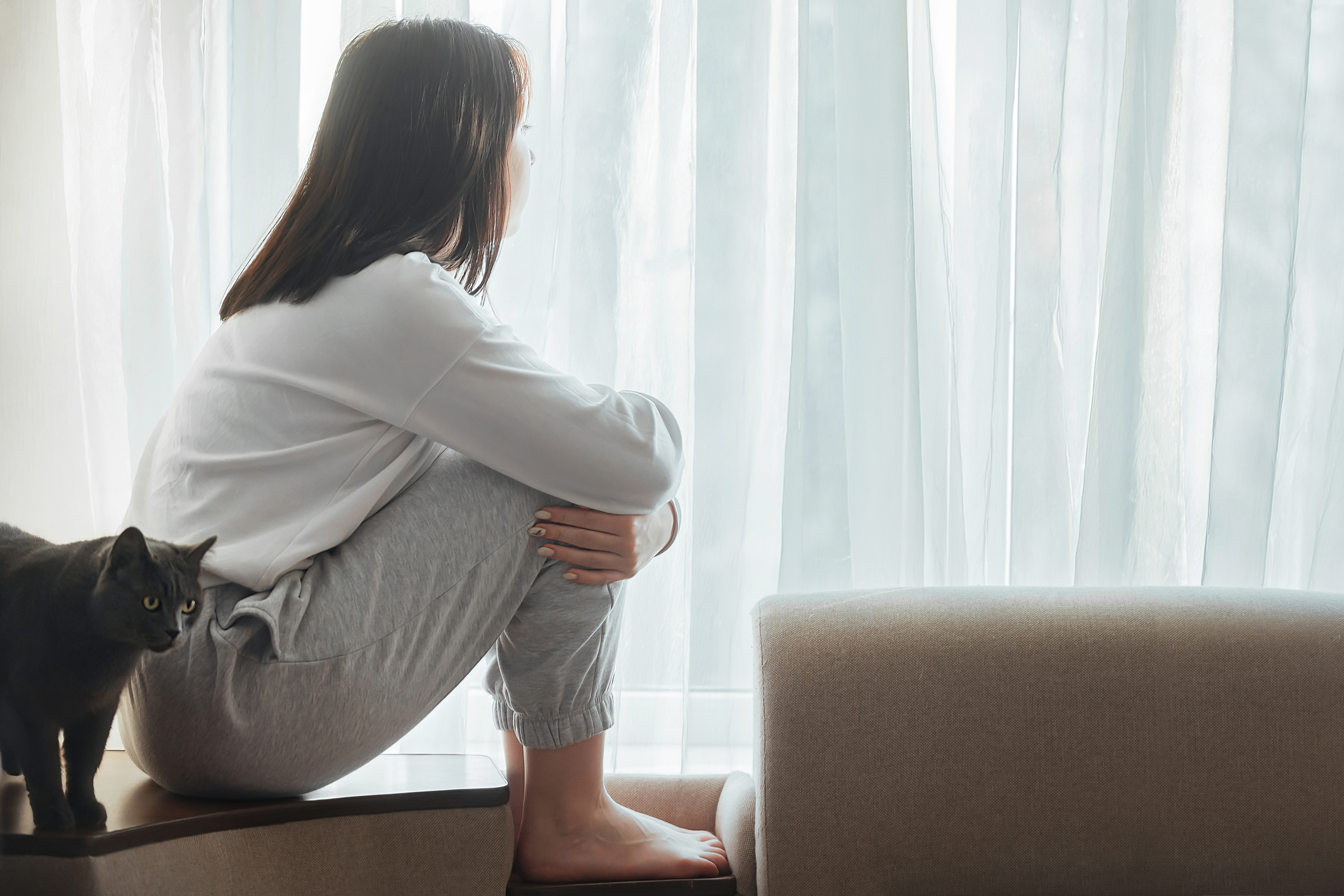 A beautiful young girl sits at home alone and is bored, she is sad, she looks out the window. Next to her is a gray cat with bright eyes. The concept of boredom, depression in young girls.