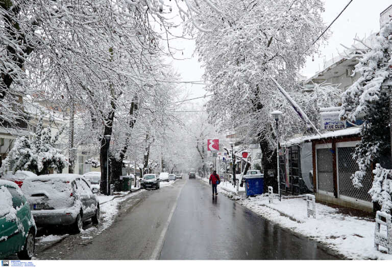 Χιόνια στη Λαμία με τα σχολεία να κλείνουν εκτάκτως - Νέες εικόνες από το πέρασμα της κακοκαιρίας