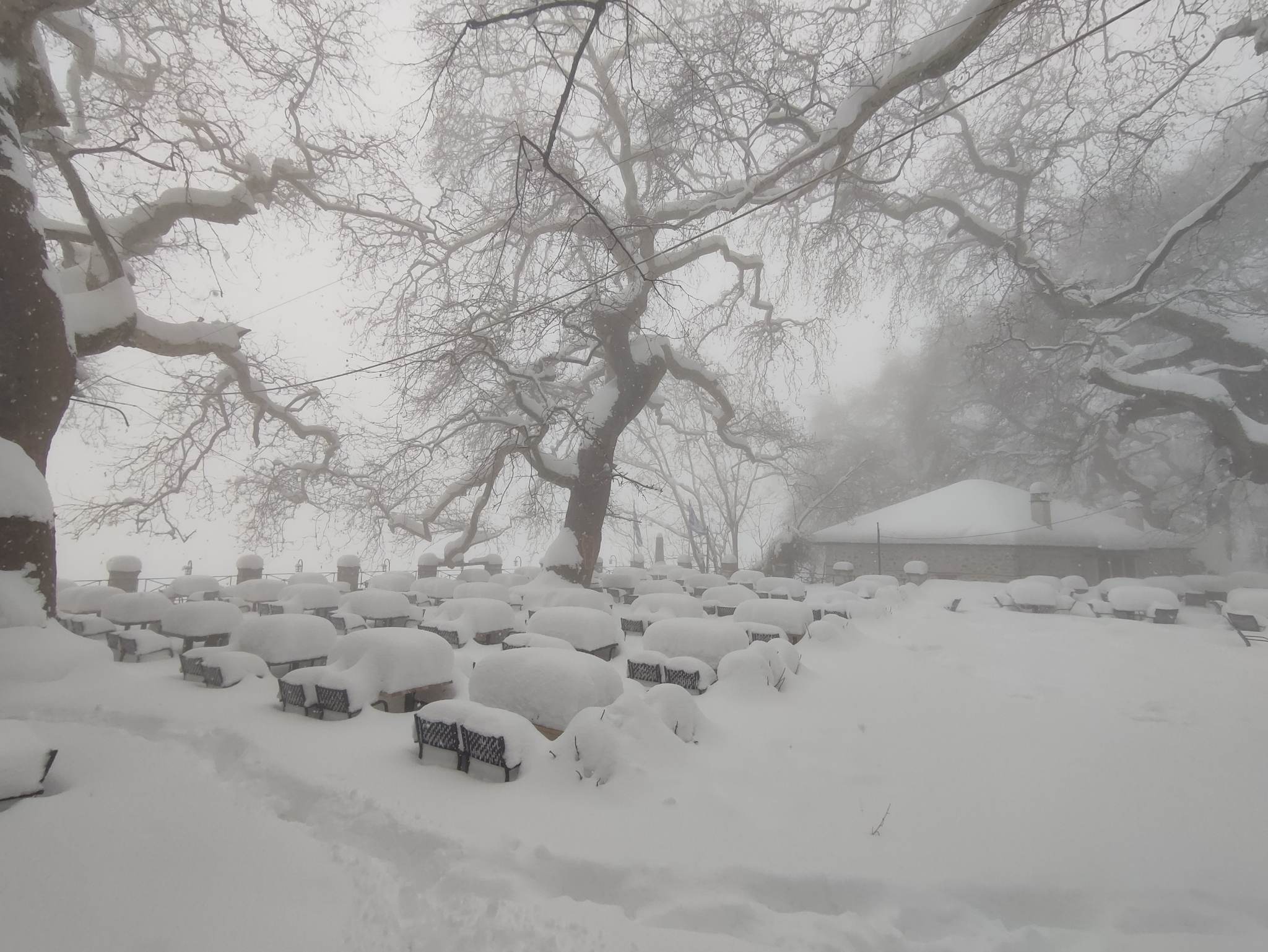 Καιρός – Μακρινίτσα: Ένα μέτρο χιόνι μέσα από 10 εκπληκτικές εικόνες