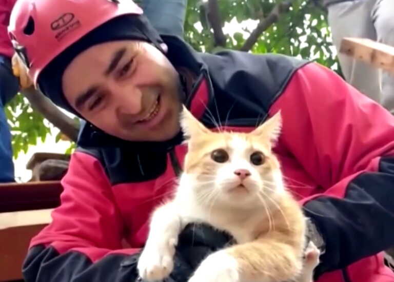 Σεισμός στην Τουρκία: Ο φοιτητής που ζήτησε να απεγκλωβίσουν πρώτα τη γάτα του