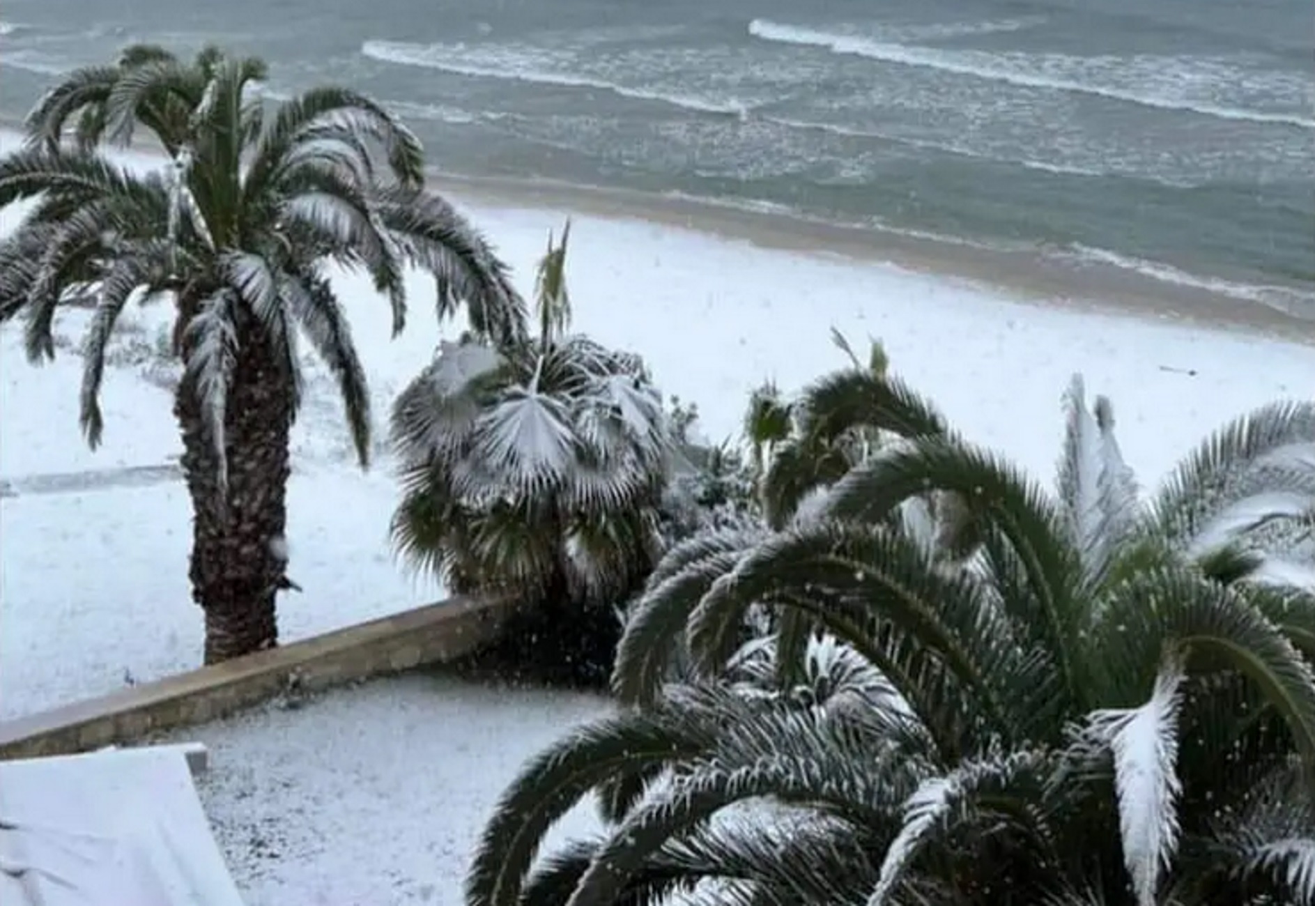Καιρός – Χαλκιδική: Χιόνια μέχρι τη θάλασσα έφερε η κακοκαιρία «Μπάρμπαρα»