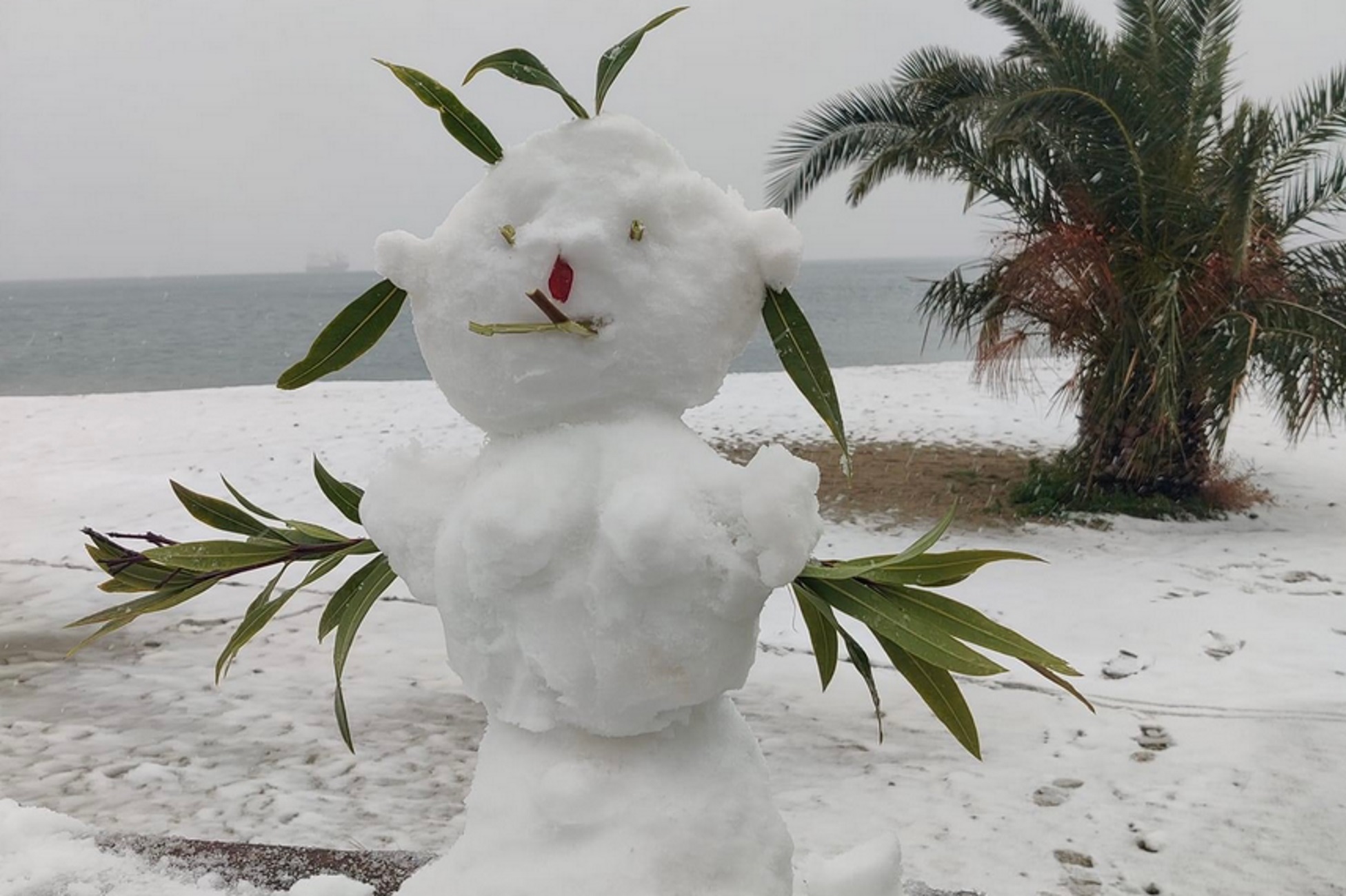 Καιρός – Βόλος: Ο χιονάνθρωπος σε παραλία που κεντρίζει τα βλέμματα