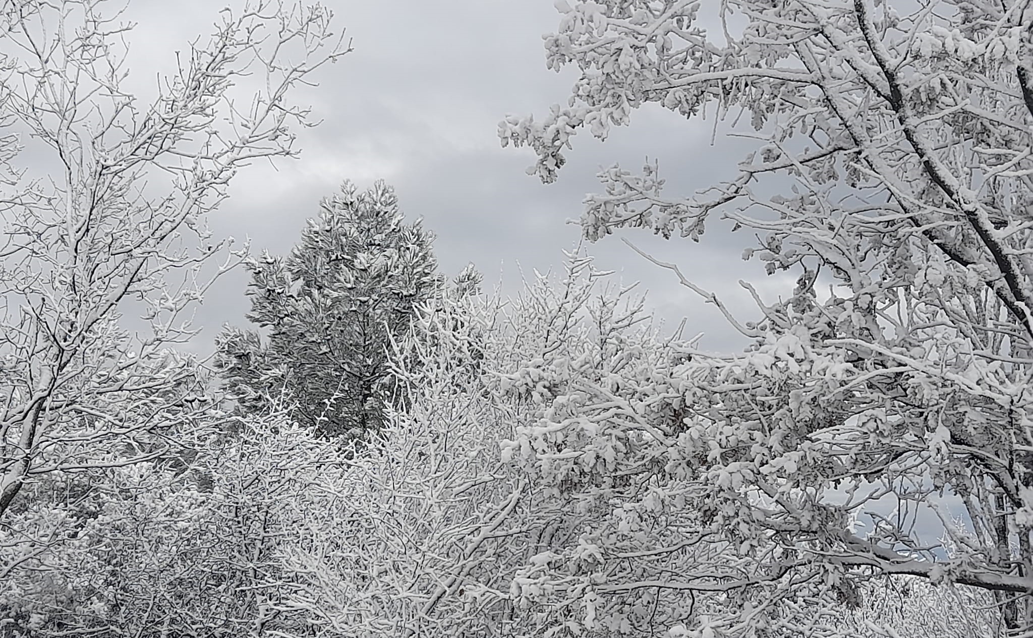 Καιρός – Λέσβος: Χιόνια στο Πλωμάρι και στα ορεινά έφερε η κακοκαιρία «Μπάρμπαρα»