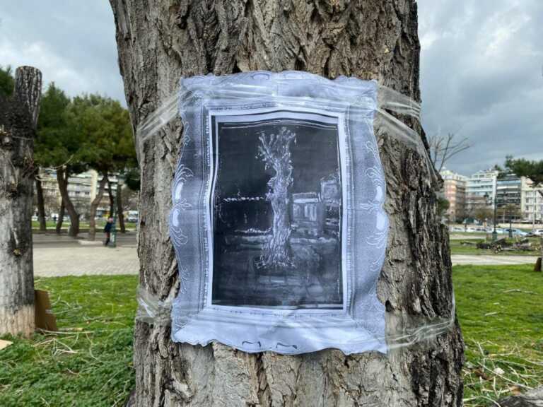 «Εδώ θα μπορούσε να ήταν δέντρο» - Οι εικόνες και τα μηνύματα πάνω σε δεκάδες κορμούς στη Θεσσαλονίκη