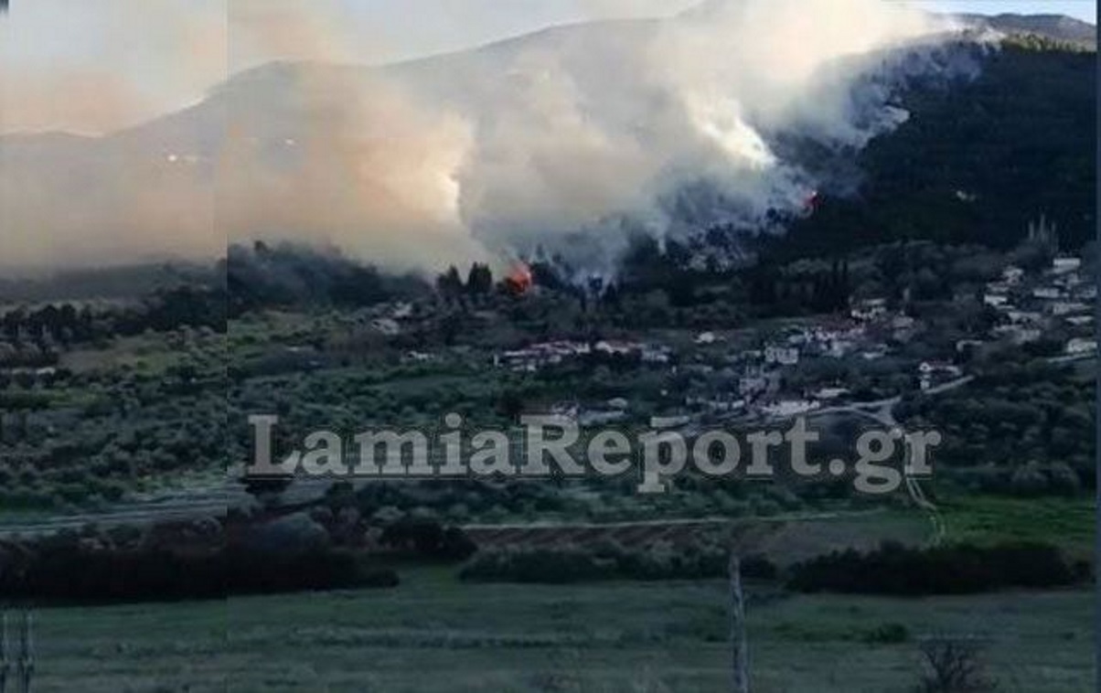 Φθιώτιδα: Μεγάλη φωτιά κοντά στον οικισμό Καραβίδια