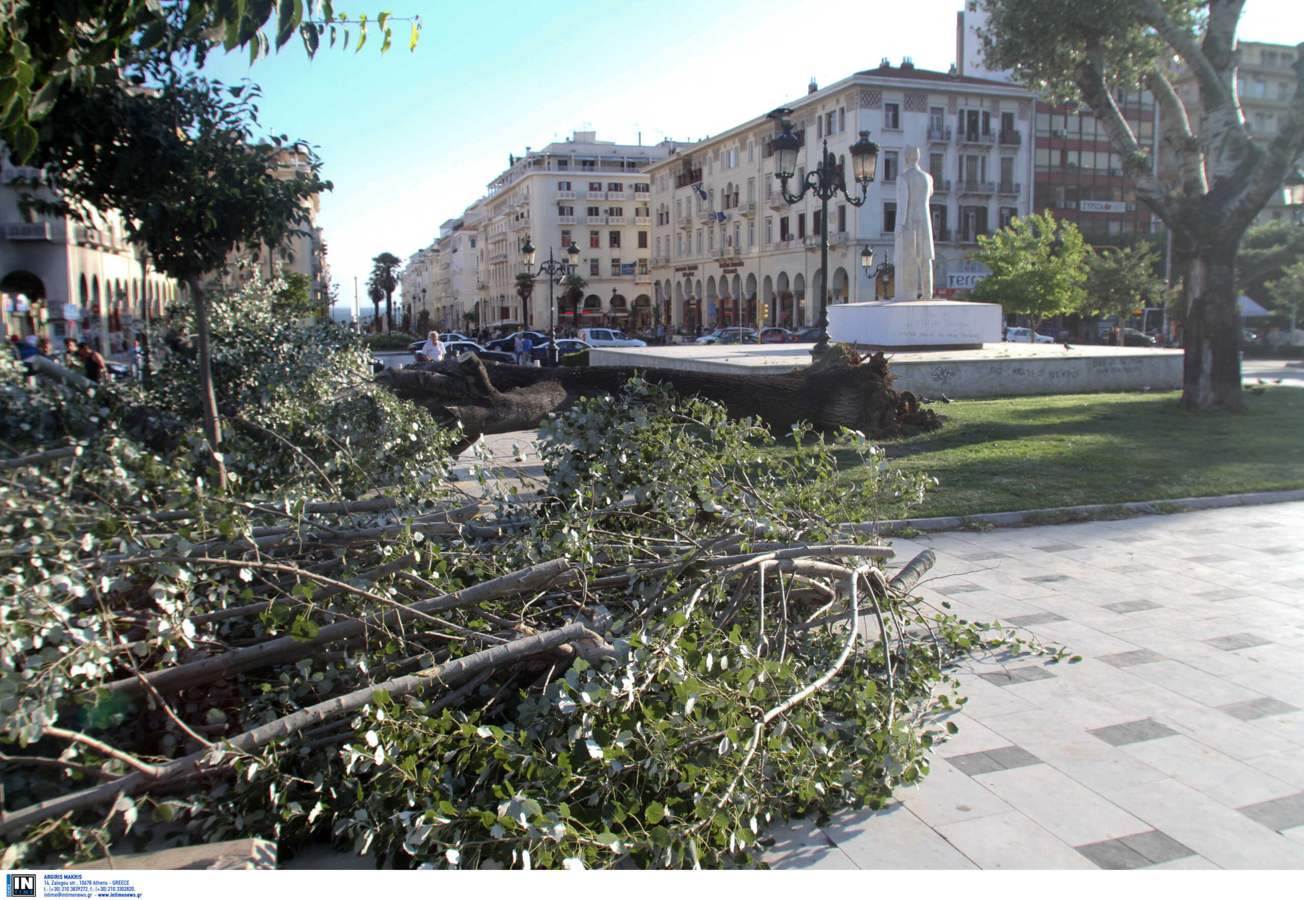Καιρός – Θεσσαλονίκη: Πτώσεις δέντρων στο κέντρο και διακοπές ρεύματος στην Καλαμαριά