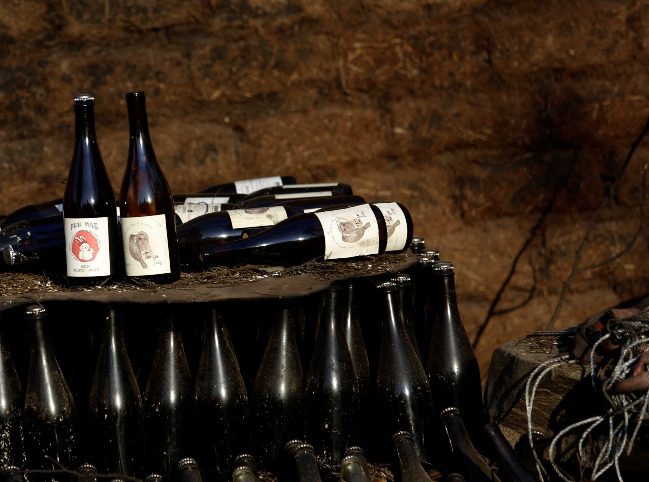 Ισπανία: Έκλεψαν κρασιά 1,7 εκατομμυρίου από κελάρι