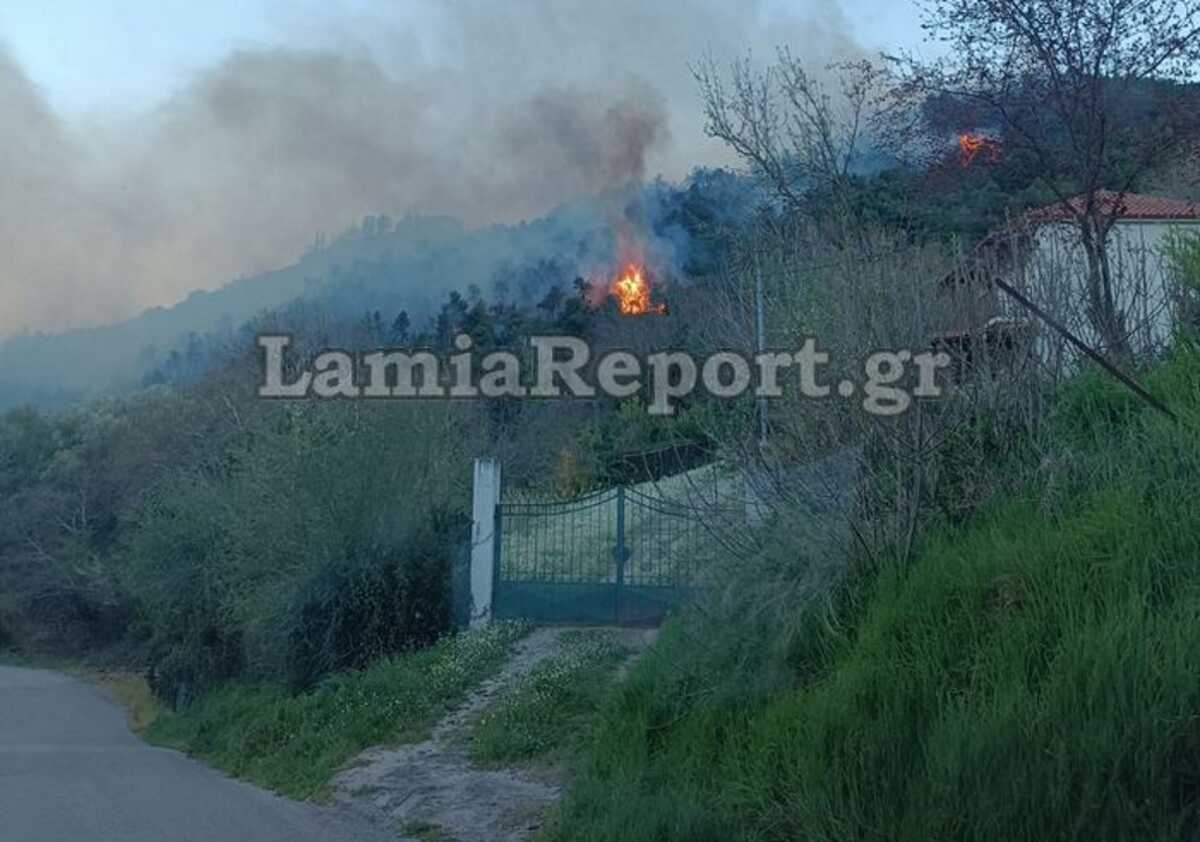 Φωτιά στη Φθιώτιδα: Ανεξέλεγκτες οι φλόγες με αέρα 6 μποφόρ