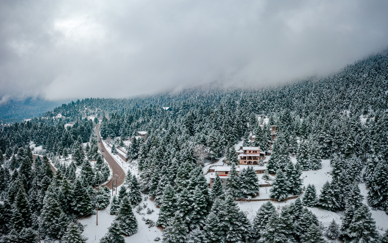 Aerial panoramic photo of Agoriani Parnasos forest at winter