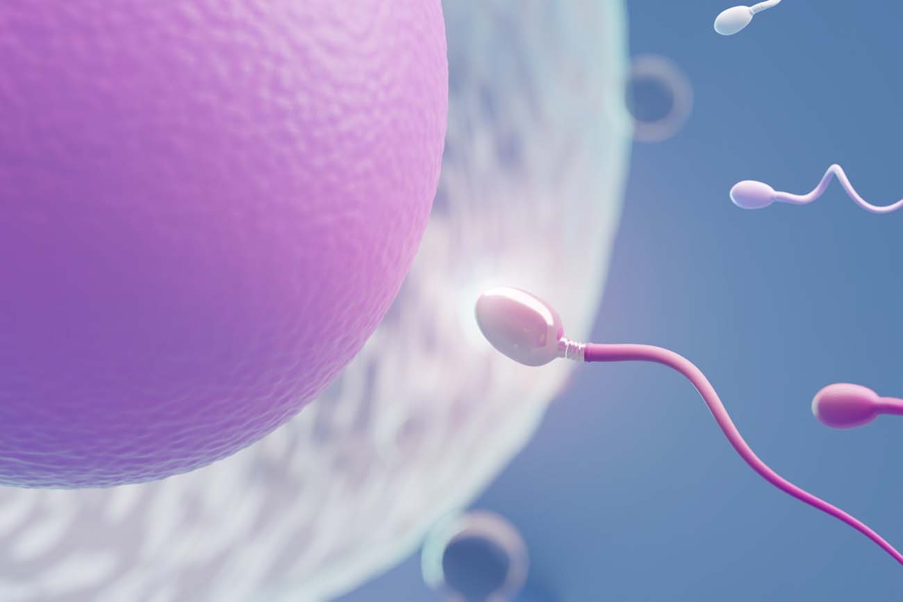 Εξωσωματική γονιμοποίηση και σπερματέγχυση: Ποια είναι η σωστή θεραπεία γονιμότητας για εσάς