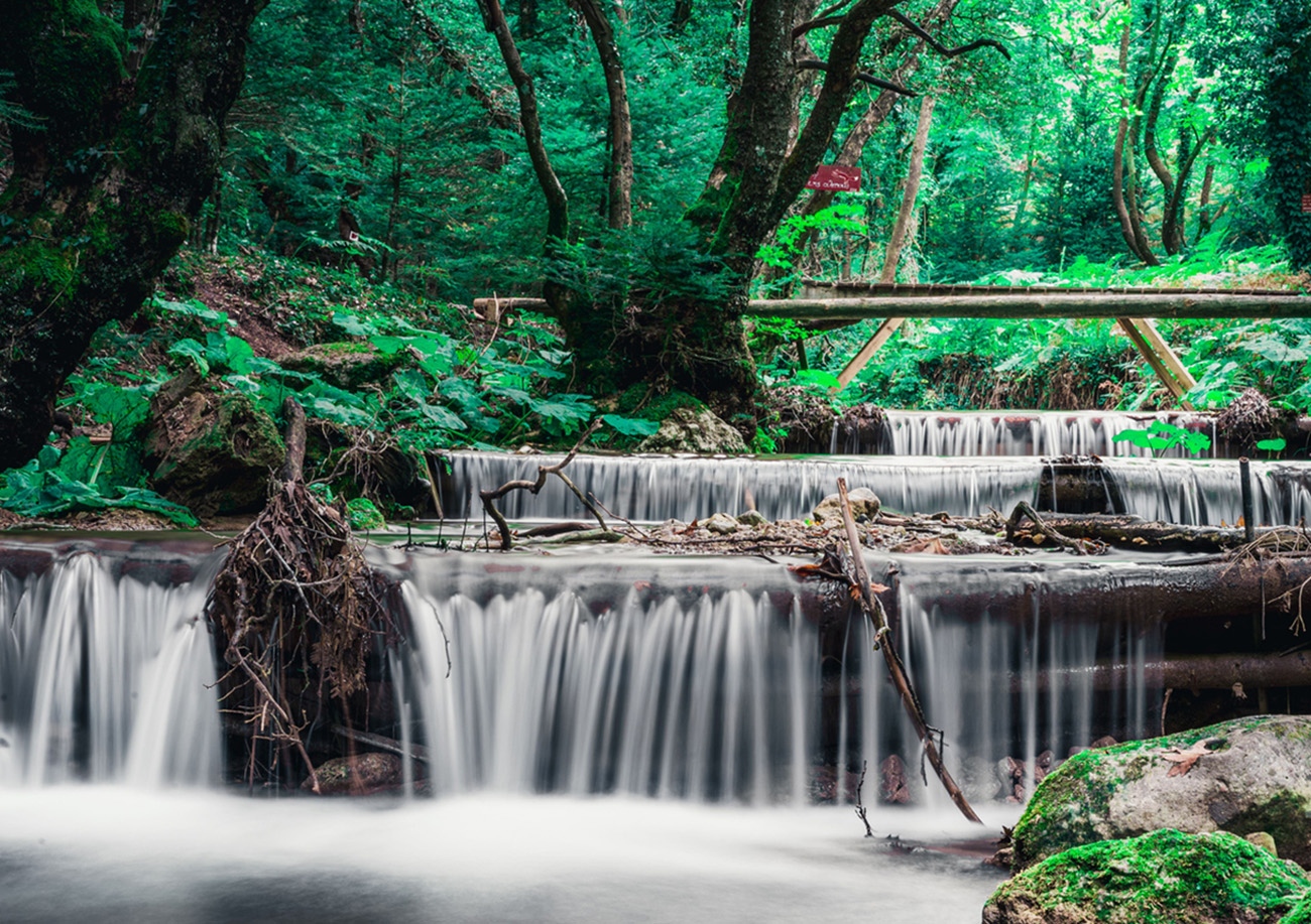 Autumn landscape - river waterfall in colorful tropical forest of Pavliani Greece with lush green leaves