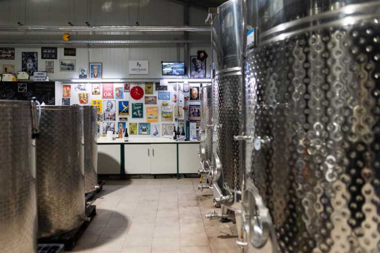 Μέσα στο βιοκλιματικό οινοποιείο της Ημαθίας με τα κρασιά που έχουν τη δική τους ιστορία στο χρόνο