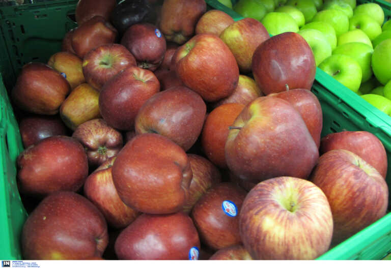 Εγκρίθηκαν οι αποζημιώσεις στους στους παραγωγούς μήλων και καστάνων