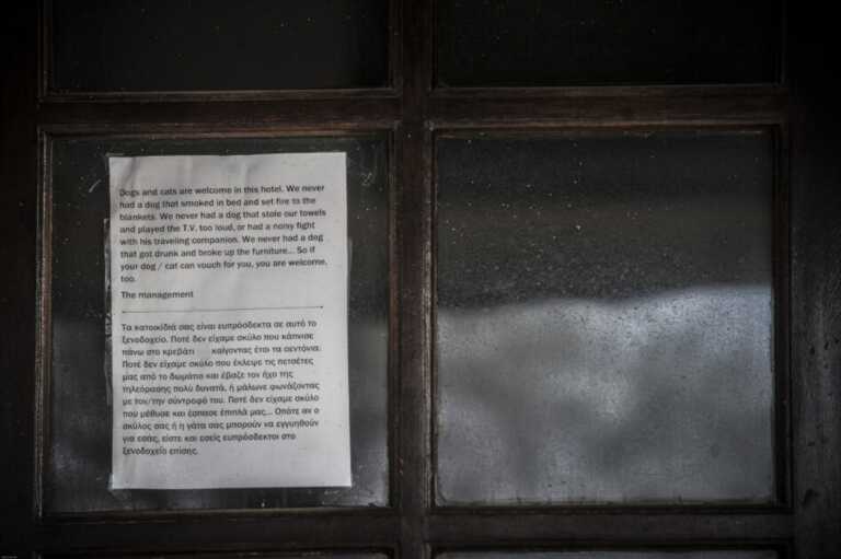 To viral σημείωμα σε ξενώνα του Πηλίου για τα κατοικίδια - Χαμόγελα για το ιδιαίτερο μήνυμα του ιδιοκτήτη