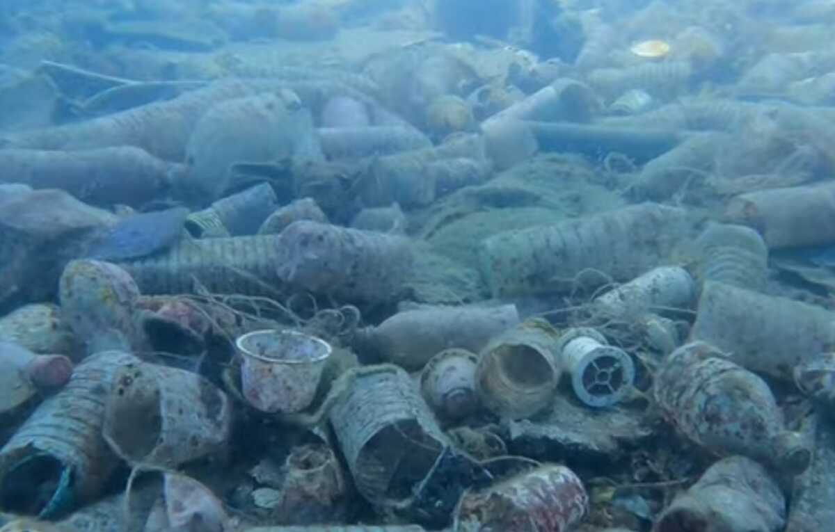 Χαλκιδική: Ο βυθός παραλίας στο Πόρτο Κουφό έκρυβε μια απέραντη χωματερή, βίντεο