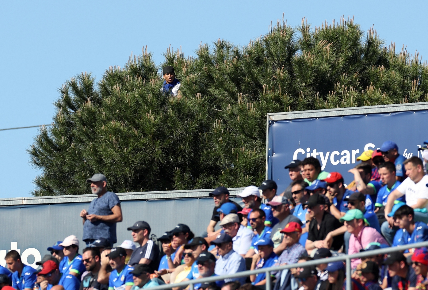 Soccer Football - LaLiga - Getafe v FC Barcelona - Coliseum Alfonso Perez, Getafe, Spain - April 16, 2023 General view as a fan is seen watching the match from a tree REUTERS
