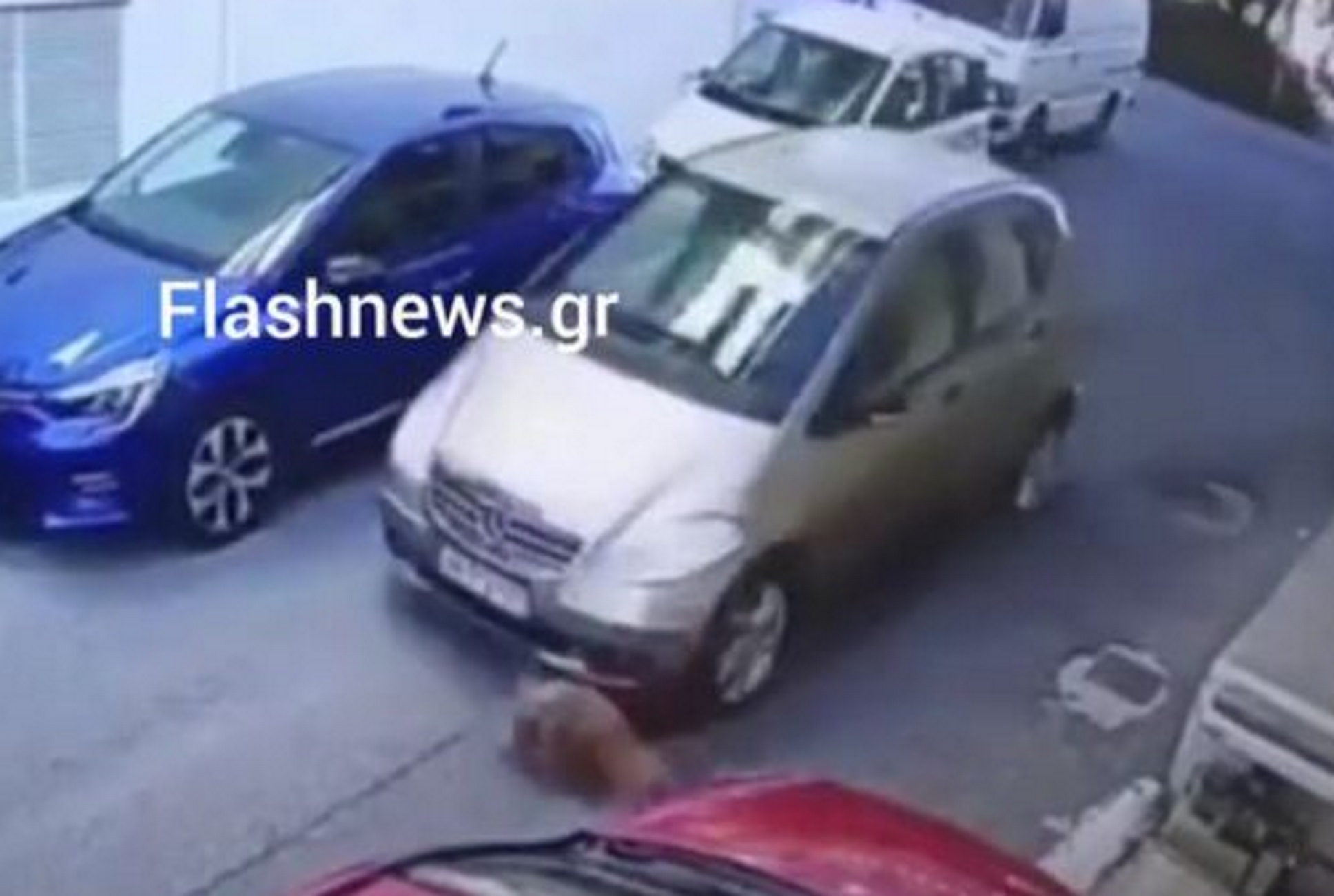 Ηράκλειο: Βίντεο ντοκουμέντο με αυτοκίνητο να παίρνει φόρα και να πατάει σκύλο σε δρόμο