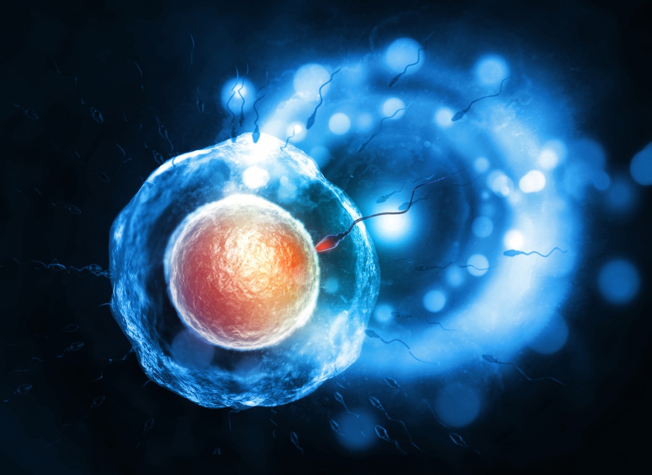 Sperm and egg cell on scientific background