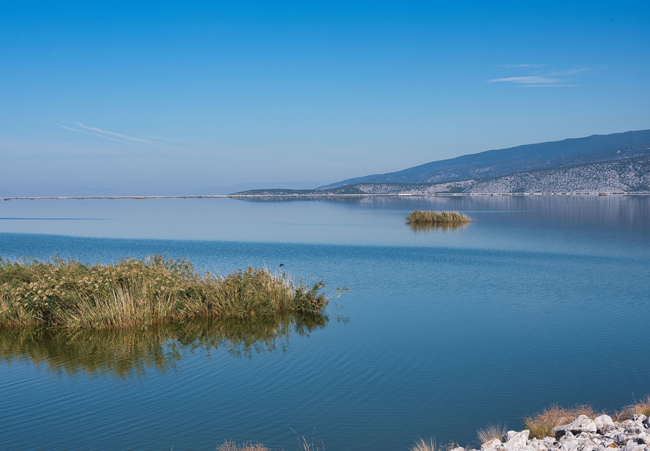 a beautiful calm lake with reflections and
aquatic plants