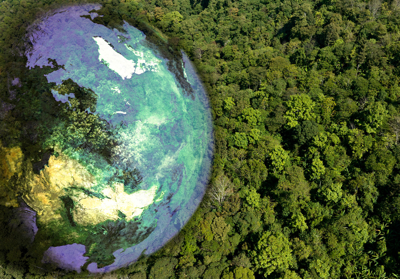Ημέρα της Γης 2023: Προτεραιότητα η προστασία του περιβάλλοντος και η αειφορία