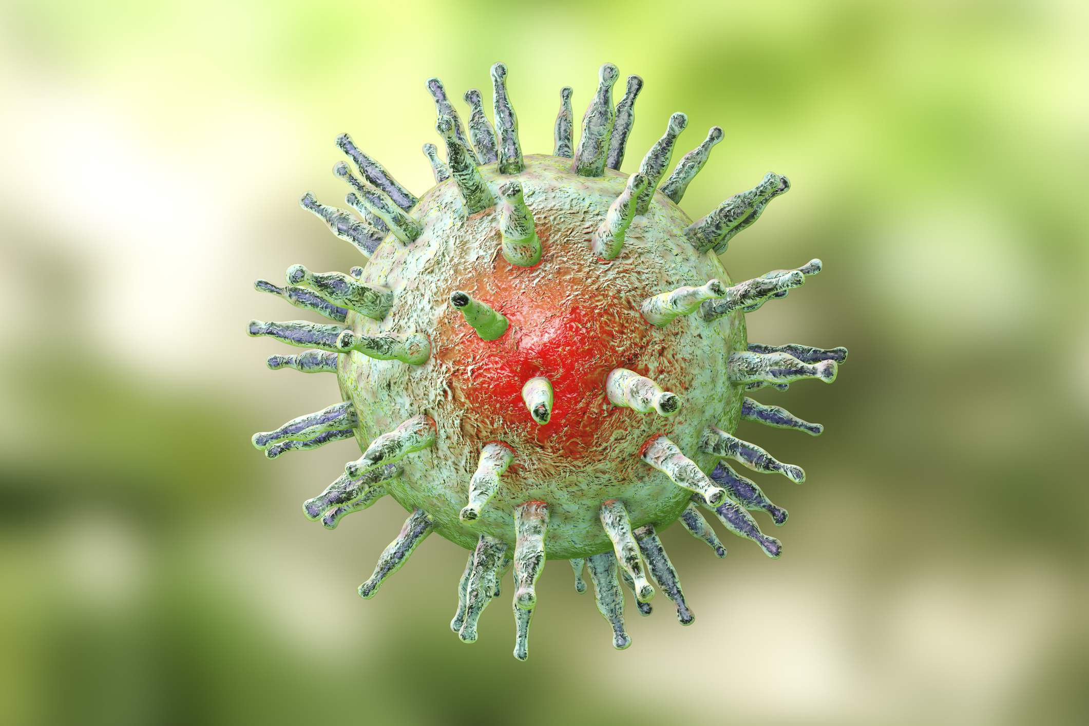 Epstein-Barr virus EBV, a herpes virus which causes infectious mononucleosis and Burkitt's lymphoma. 3D illustration