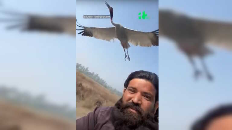 Αγρότης καλεί τις Αρχές της Ινδίας να απελευθερώσουν ένα πουλί που είχε σώσει και έγιναν φίλοι