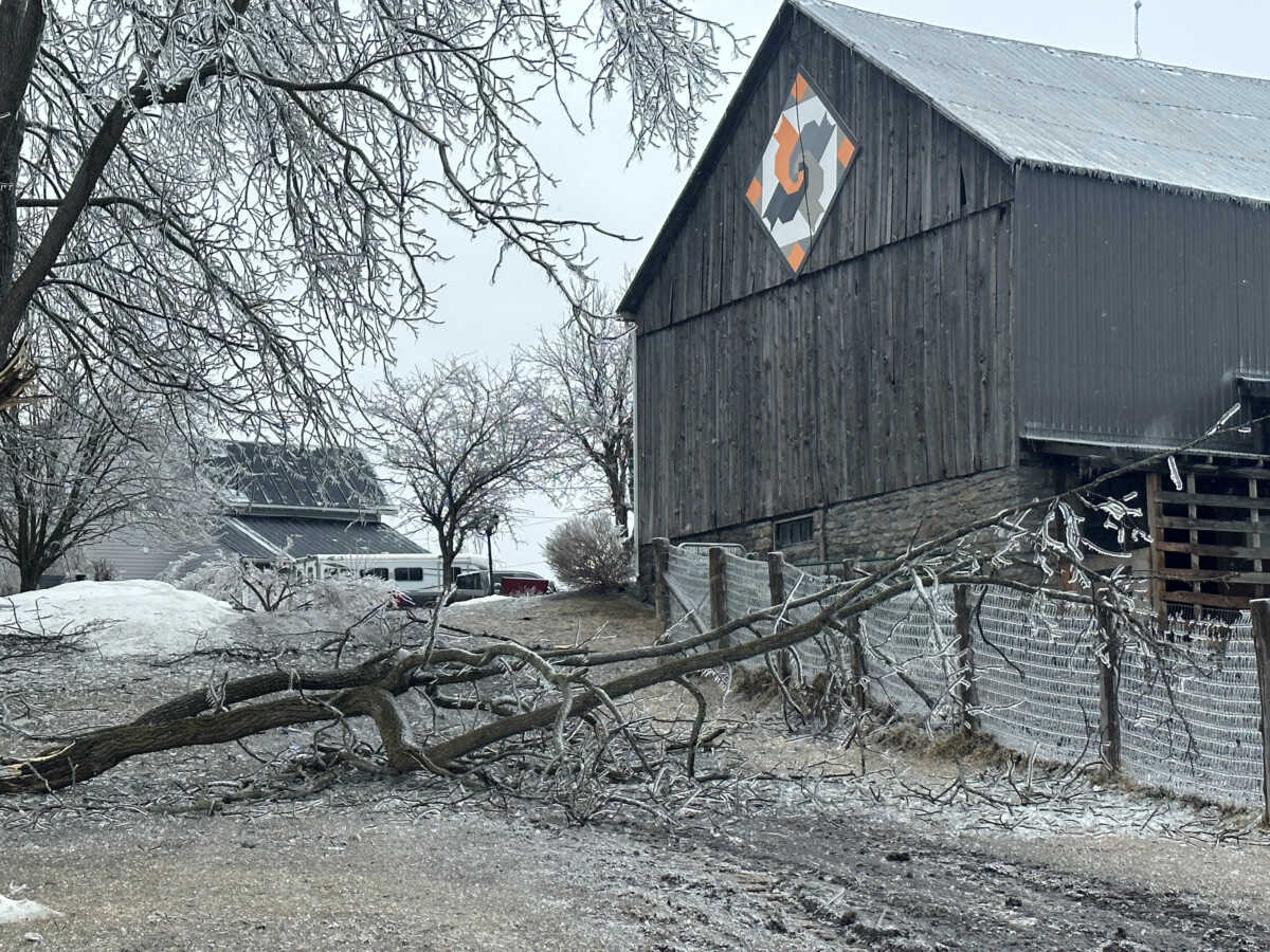 A view shows the landscape after an ice storm, in Apple Hill, Ontario, Canada, April 6, 2023 in this picture obtained from social media. Natalie Rowe
