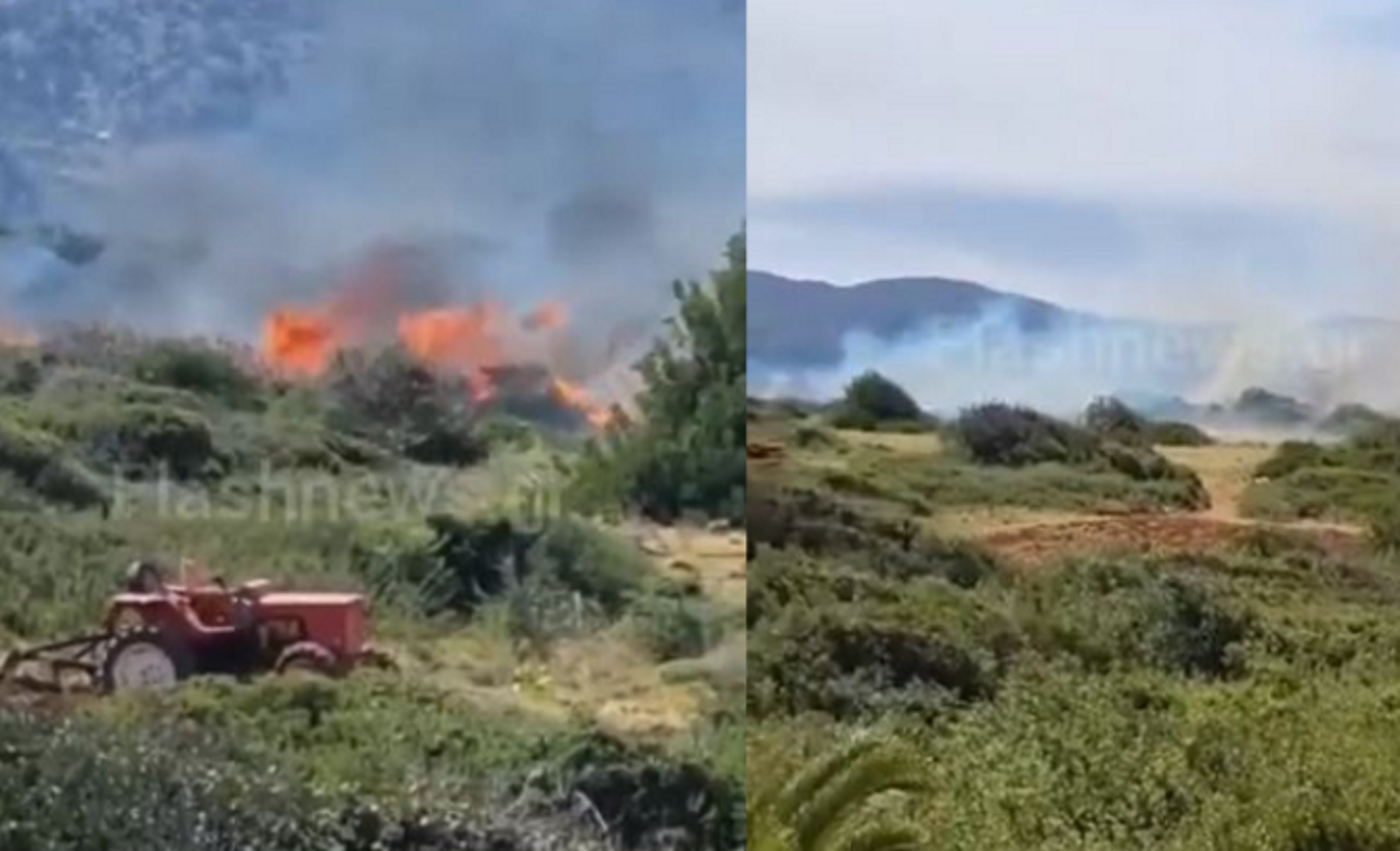 Φωτιά στα Μάλια κοντά σε ξενοδοχείο – Συναγερμός στην πυροσβεστική