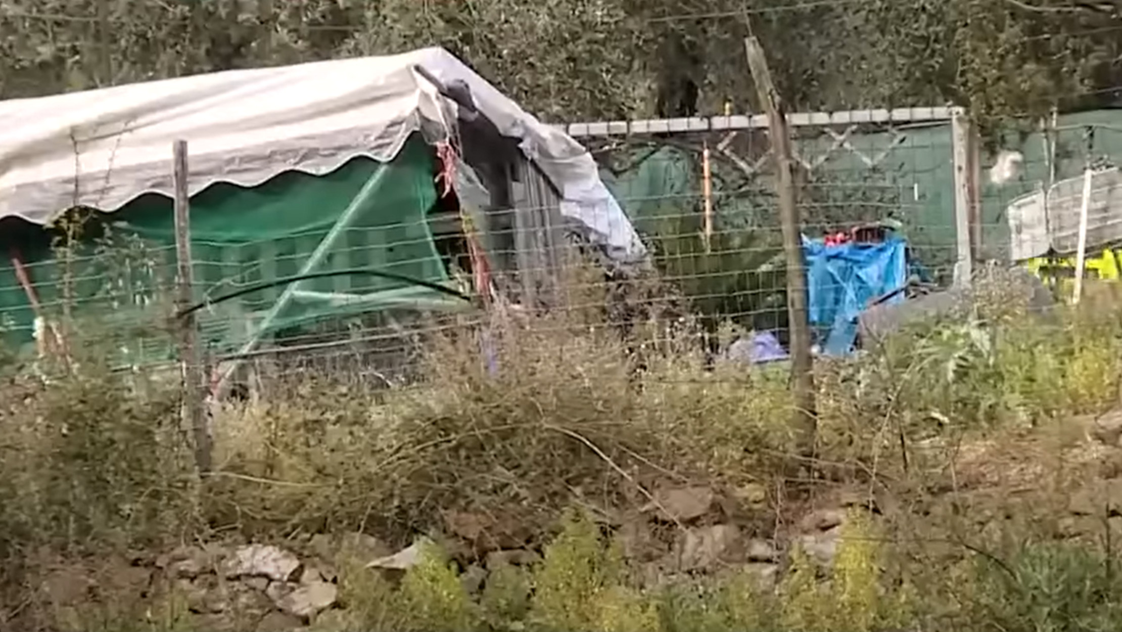 Ιταλία: Ροτβάιλερ κατασπάραξε 53χρονη που πήγε να το ταΐσει