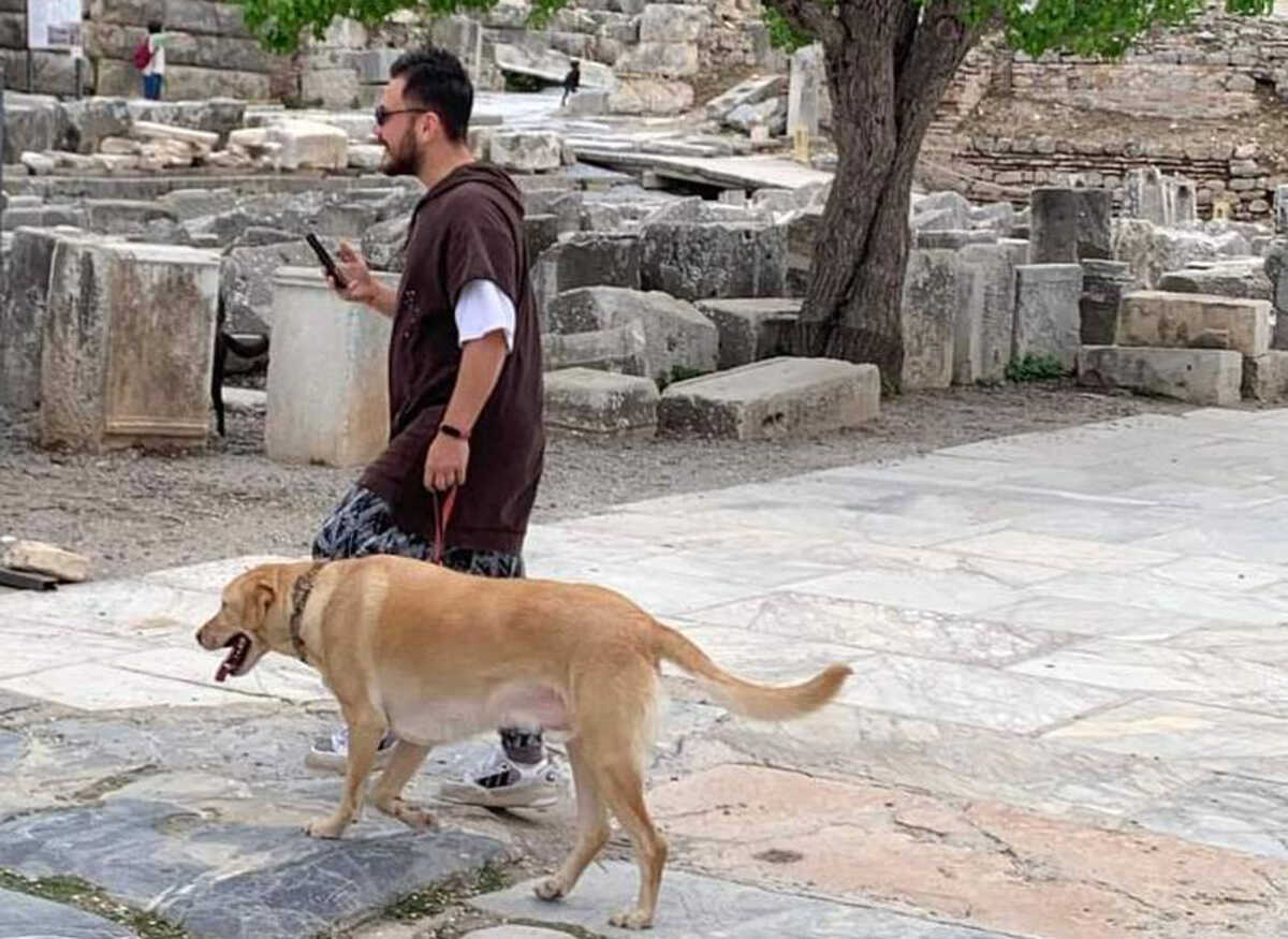 Τα ζώα συντροφιάς «μπαίνουν» σε περισσότερους από 120 αρχαιολογικούς χώρους μετά τη γνωμοδότηση του ΚΑΣ