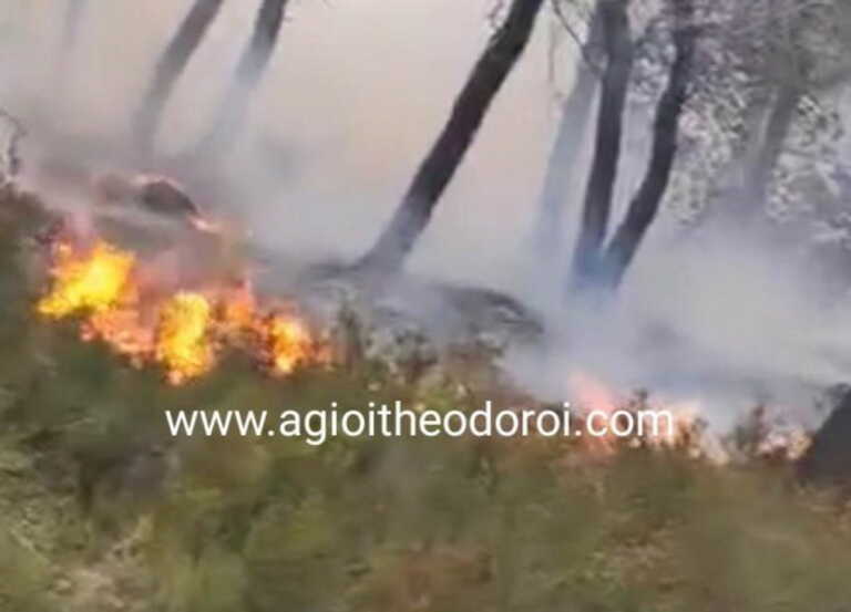 Υπό μερικό έλεγχο η φωτιά στα Γεράνεια Όρη - Ξέσπασε από κεραυνό και έκαψε δάσος