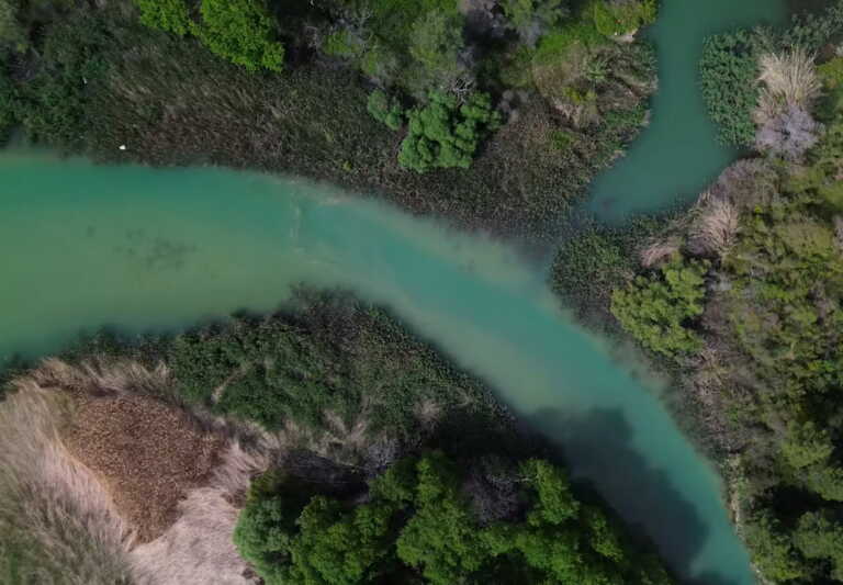 Τρεχούμενα γάργαρα νερά και ψηλά πλατάνια - Τα ομορφότερα 1.000 μέτρα της Αττικής μόλις αποκαλύφθηκαν