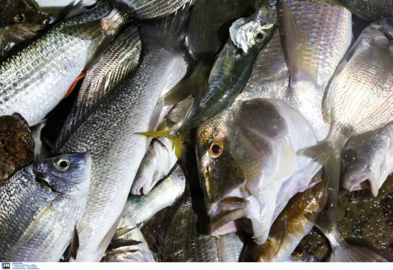 «Μεμονωμένο συμβάν, δεν αποτελεί πρακτική μας ο βασανισμός ζώων», λέει η ταβέρνα στην Κάρπαθο για το τηγάνισμα ζωντανών ψαριών