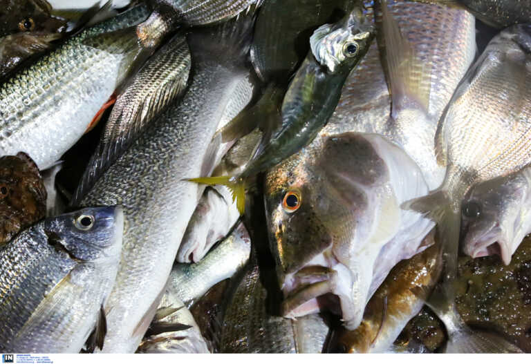 Πολίτης στην Κάρπαθο κατήγγειλε στην αστυνομία ότι τηγάνιζαν ζωντανά ψάρια σε ταβέρνα