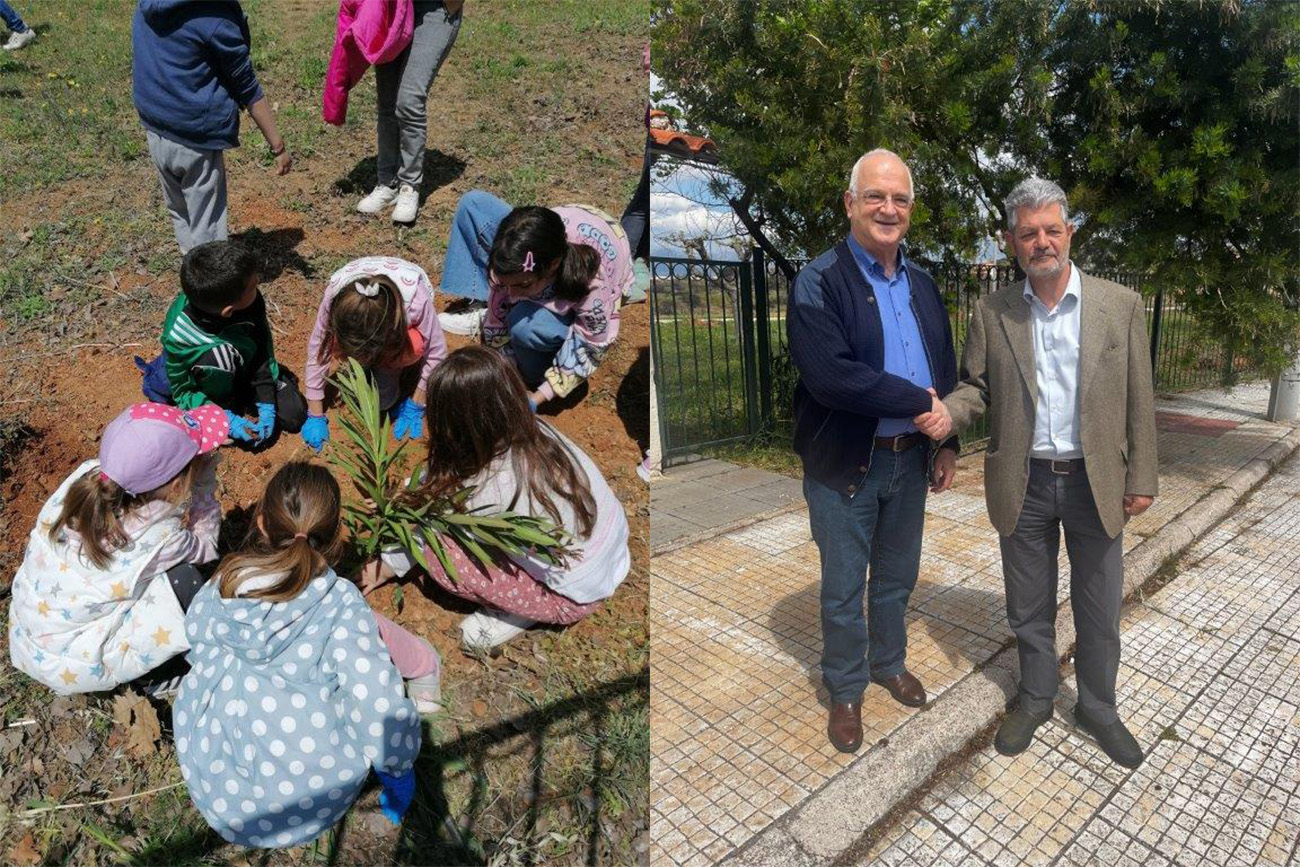 Αναδάσωση στο Πάρκο Ανθούσας στην Παλλήνη με τη στήριξη της Αττικής Οδού