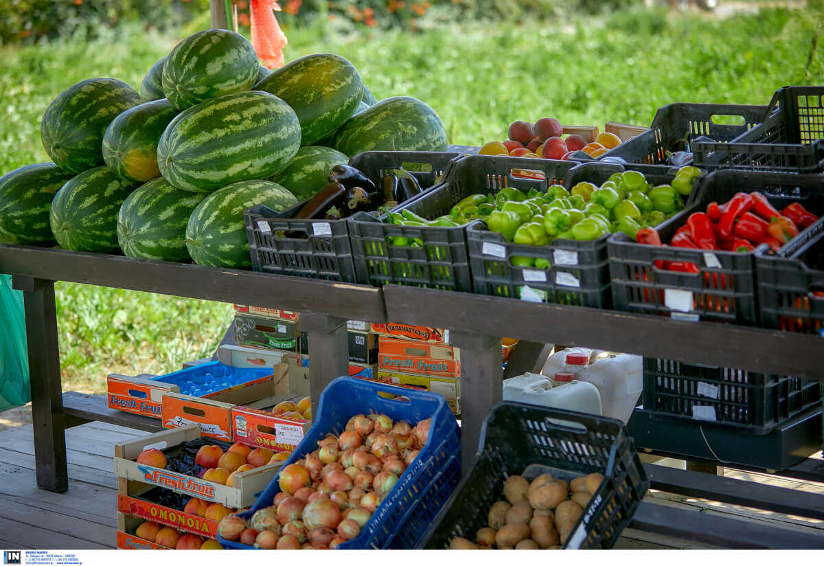 Αυξημένες οι εξαγωγές φρούτων και λαχανικών το πρώτο δίμηνο του 2023