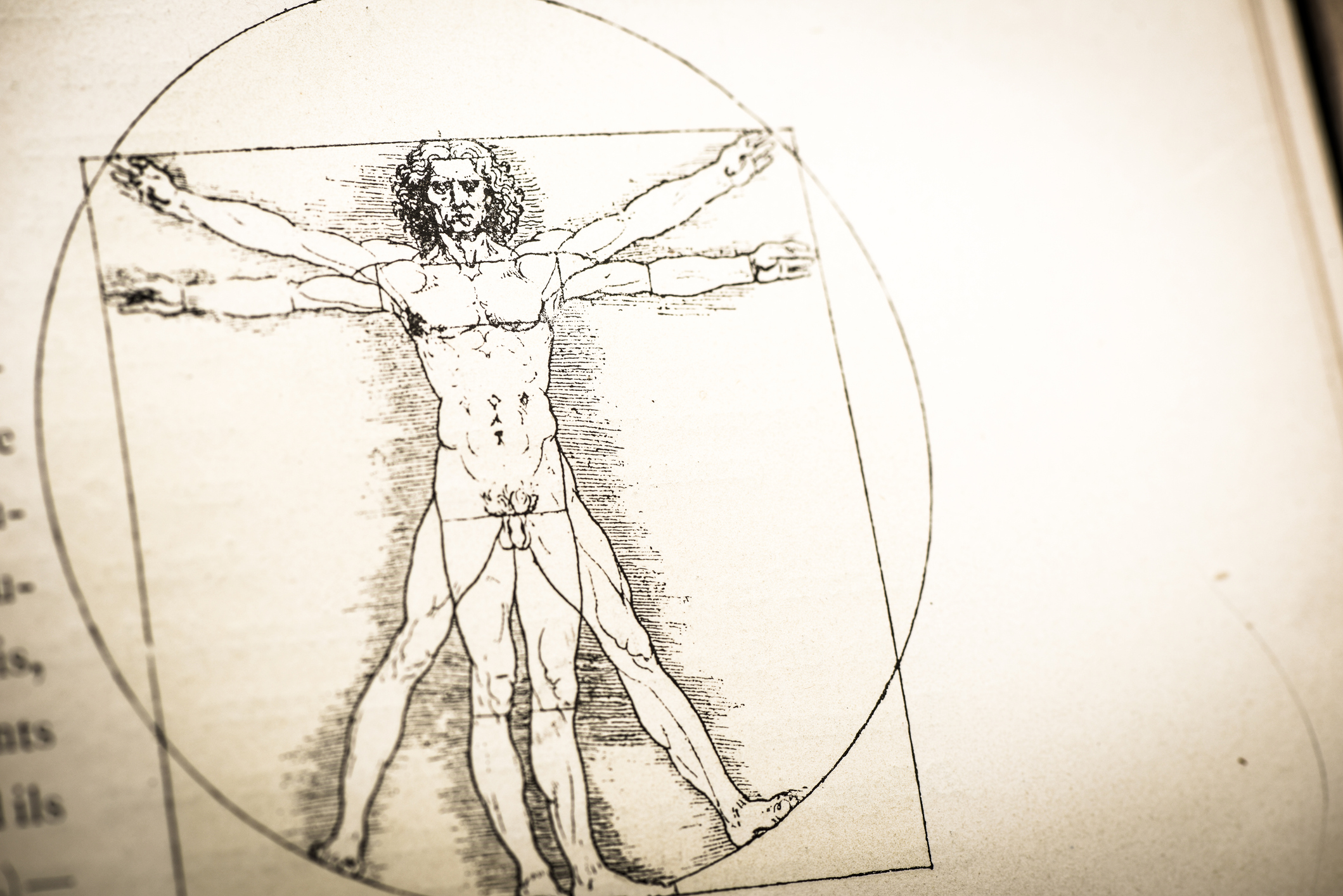 Leonardo's sketches and drawings: Vitruvian Man