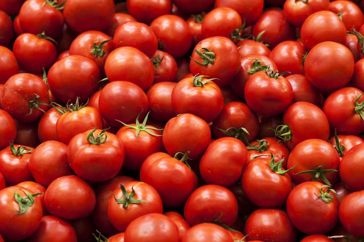 Pile of Red Tomato.