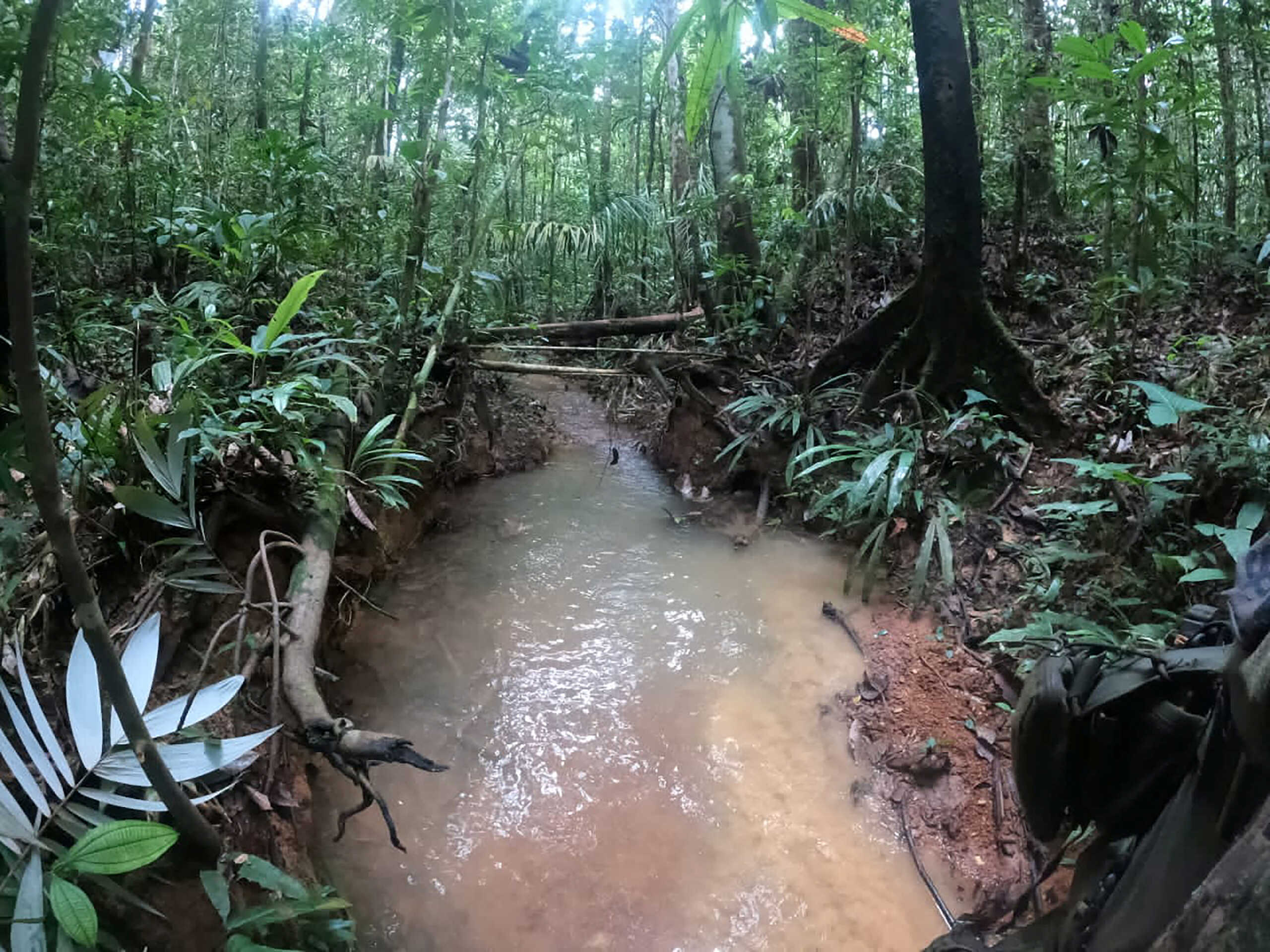 A general view of the area where a footprint was found in the forest during the search operation for child survivors from a Cessna 206 plane that had crashed in the jungle more than two weeks ago, in Caqueta Colombia May 18, 2023. Colombian Military Forces