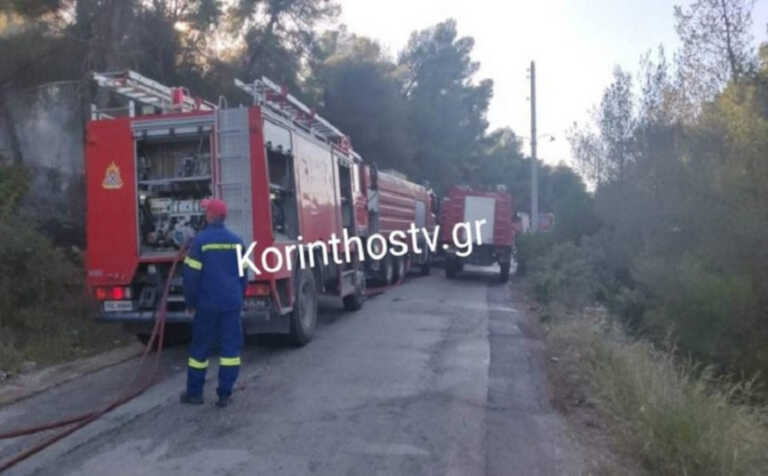 Υπό έλεγχο η φωτιά στο Μαυροβούνι Κορινθίας