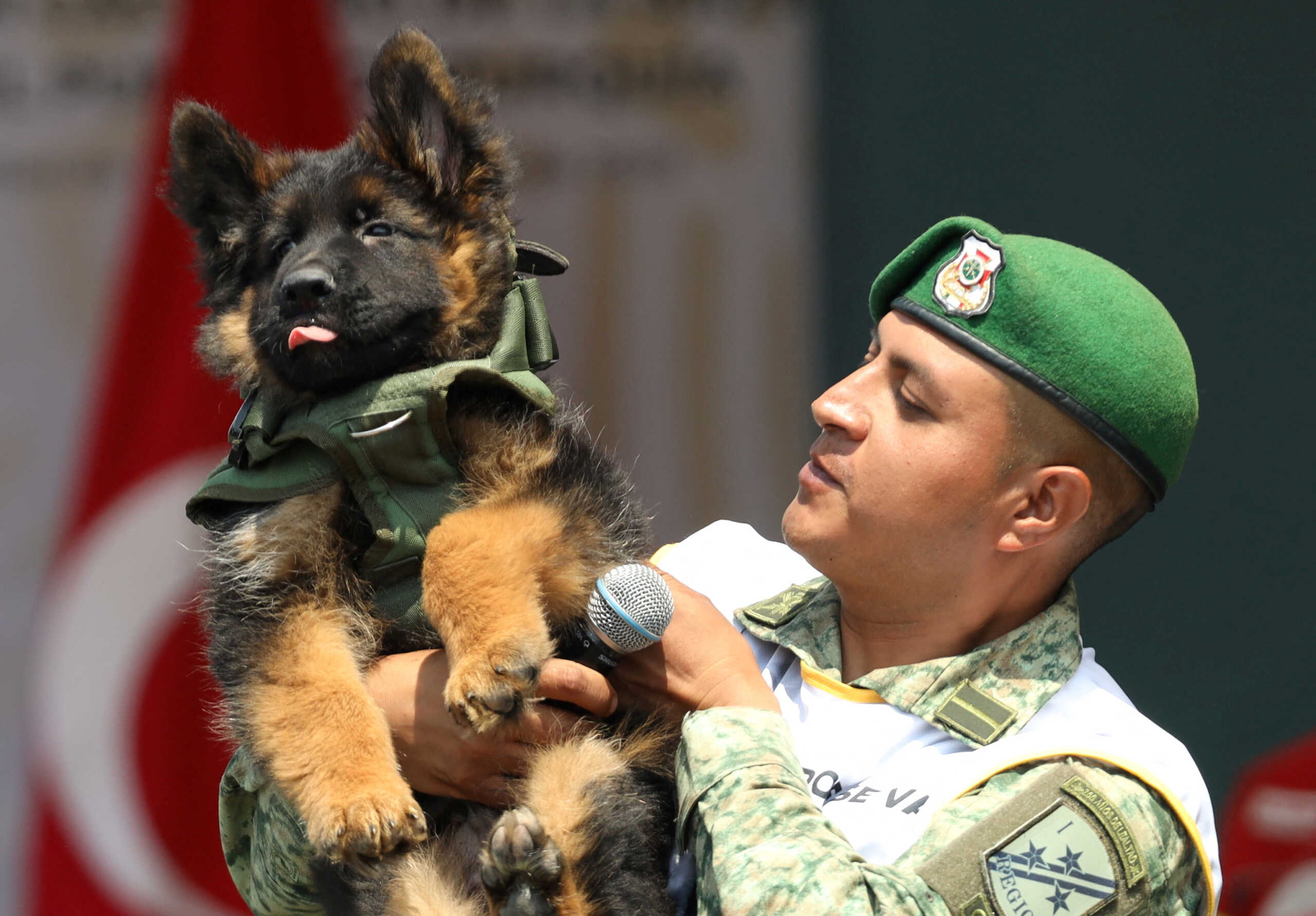 Η Τουρκία χάρισε αξιαγάπητο κουτάβι στο Μεξικό μετά το θάνατο εκπαιδευμένου σκύλου στα συντρίμμια του σεισμού