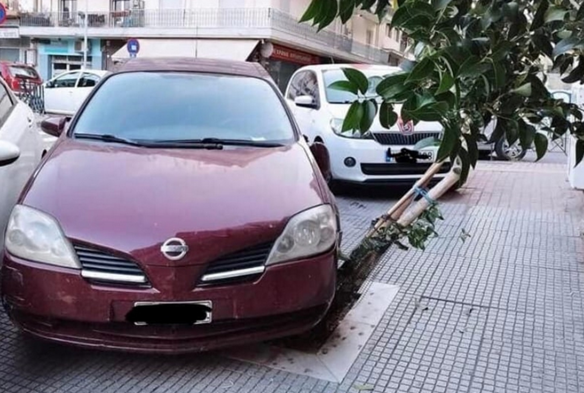 Θεσσαλονίκη: Διέλυσε δέντρο πάνω σε πεζοδρόμιο για να παρκάρει παράνομα