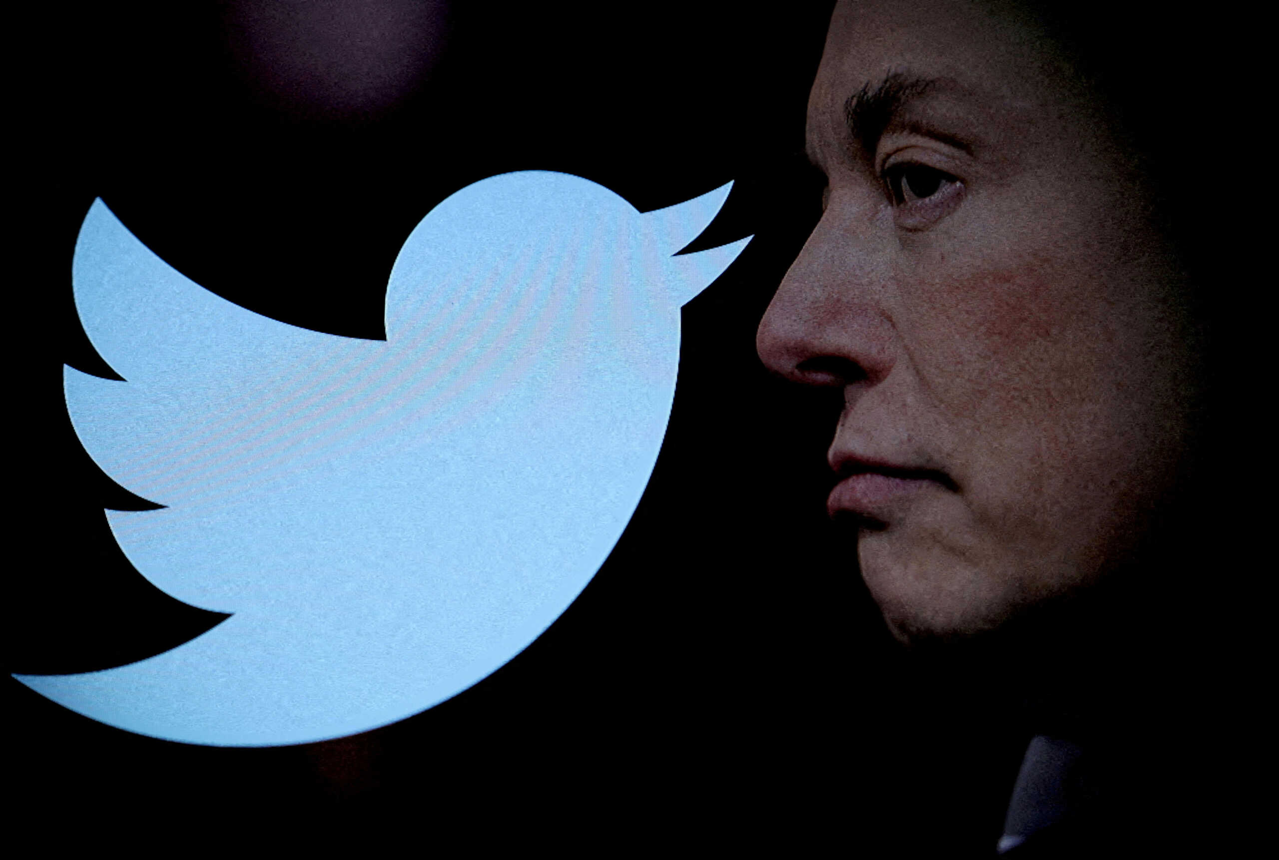 Twitter: Ο Έλον Μασκ σκέφτεται να αλλάξει το λογότυπο – «Θα αποχαιρετήσουμε όλα τα πουλιά»