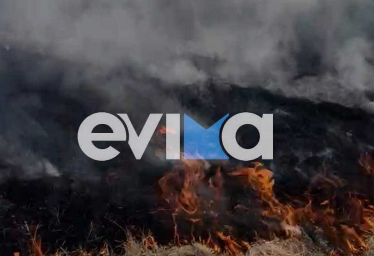 Εύβοια: Φωτιά σε χωριό έξω από τη Χαλκίδα – Πυροσβέστες και κάτοικοι στη μάχη με τις φλόγες