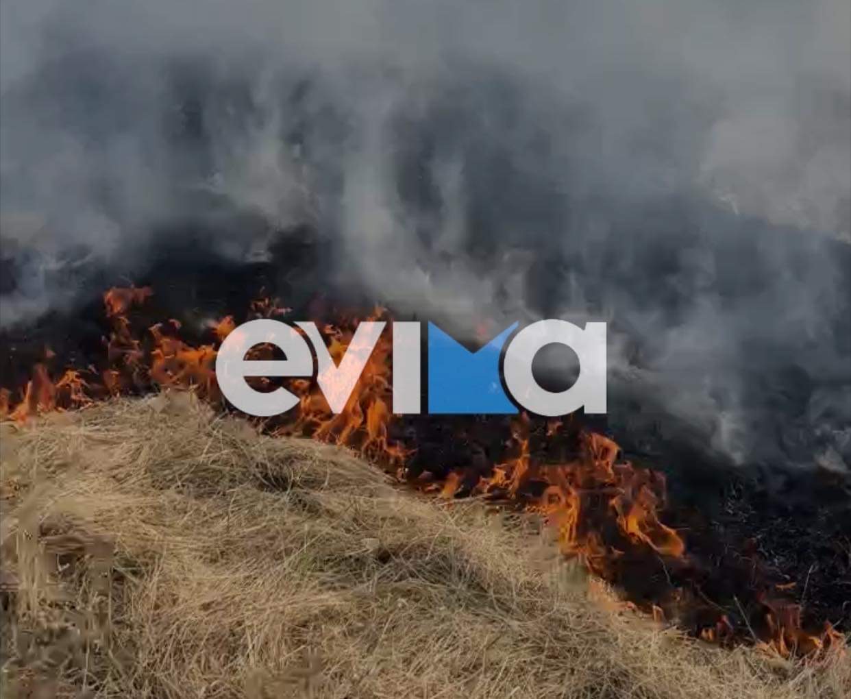 , Εύβοια: Φωτιά σε χωριό έξω από τη Χαλκίδα – Πυροσβέστες και κάτοικοι στη μάχη με τις φλόγες